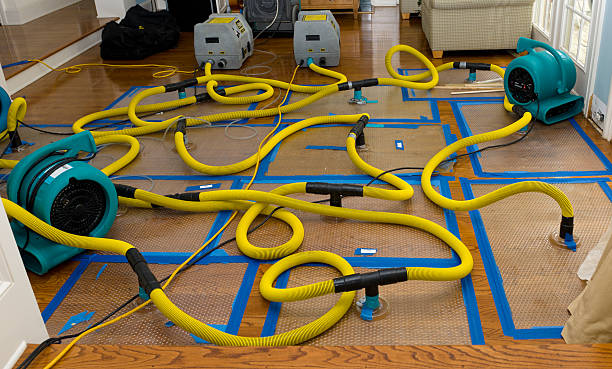 Professional Storm Water Damage Restoration technician working in Cokeburg, PA